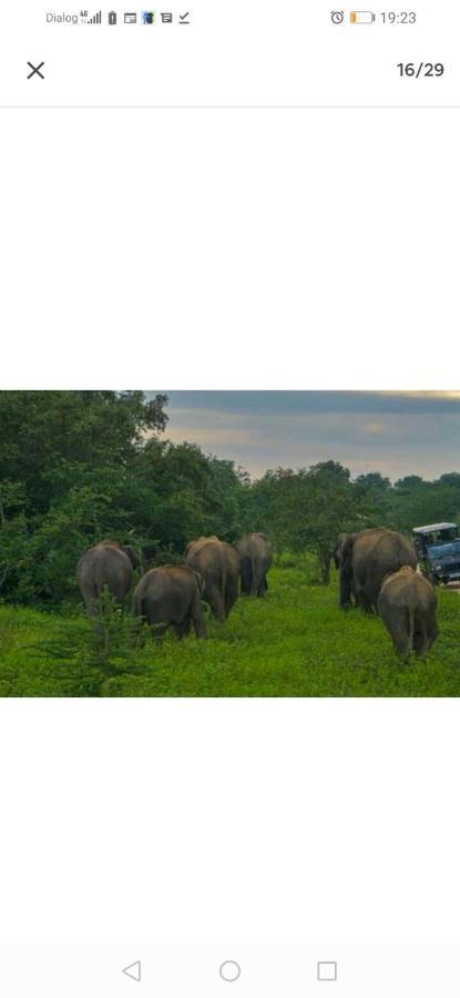 Sigiriya Second Hostel Sigirija Zewnętrze zdjęcie